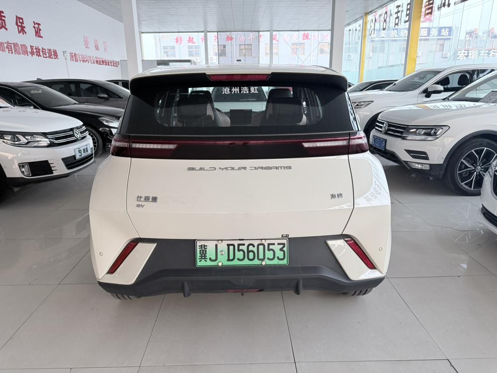 BYD Seagull