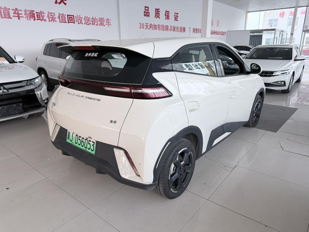 BYD Seagull