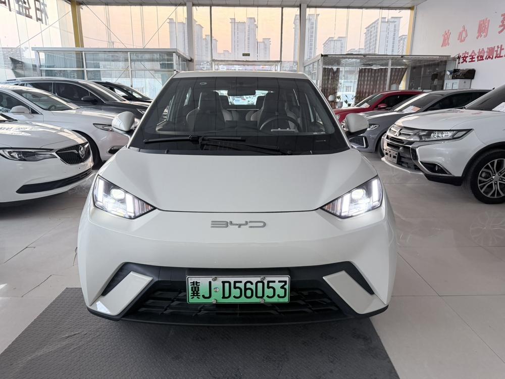 BYD Seagull