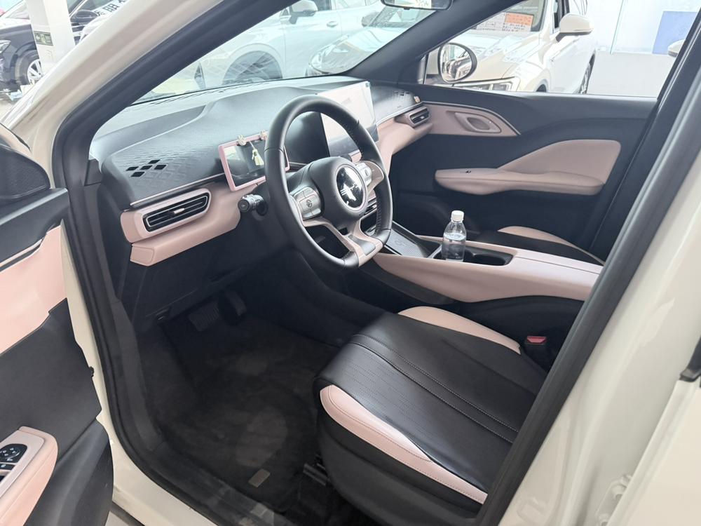 BYD Seagull