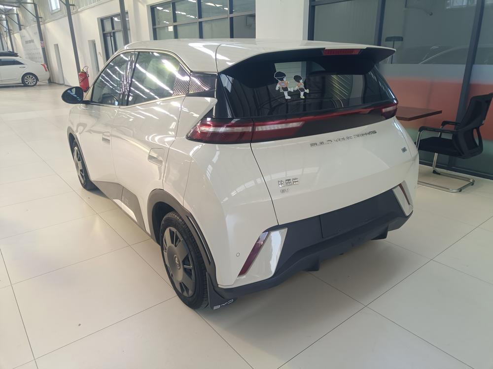 BYD Seagull