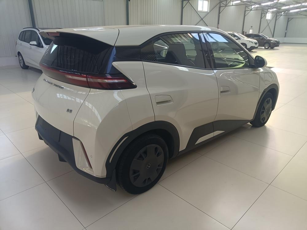 BYD Seagull