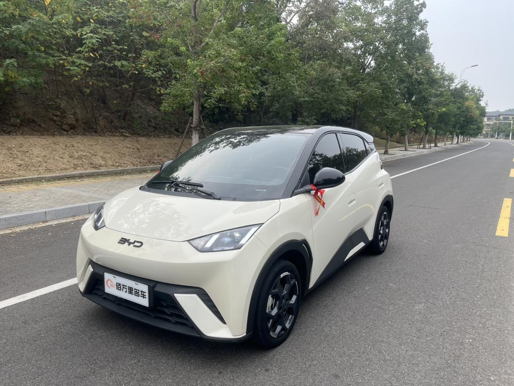 BYD Seagull