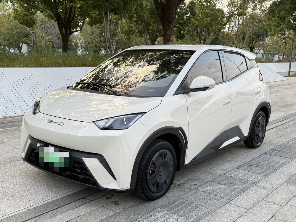BYD Seagull