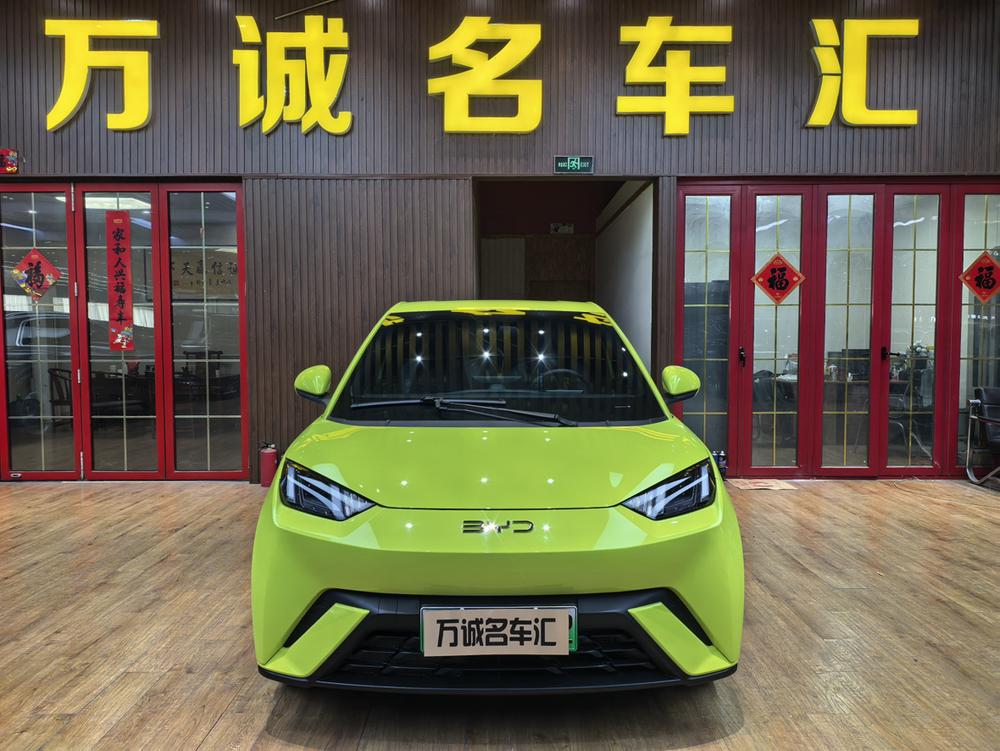 BYD Seagull