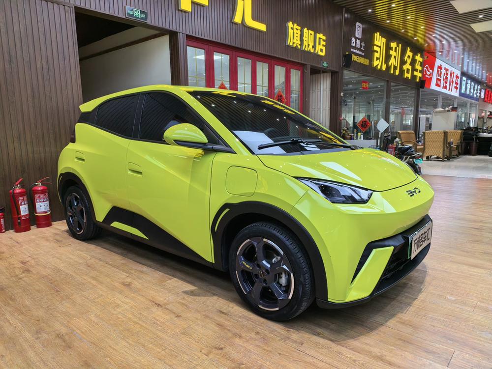 BYD Seagull