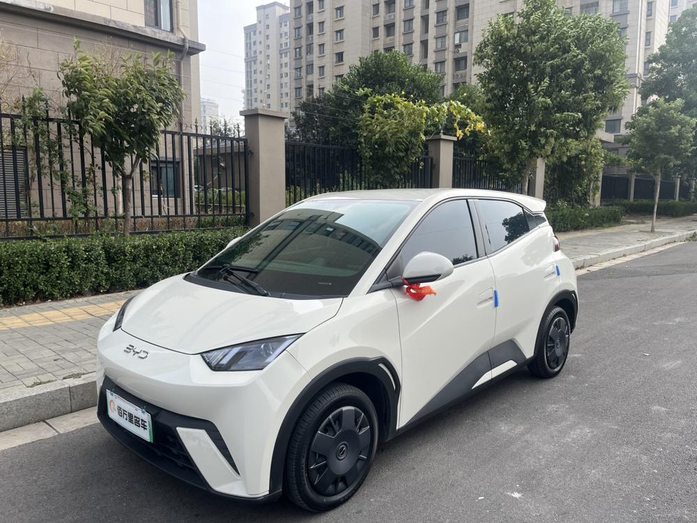 BYD Seagull