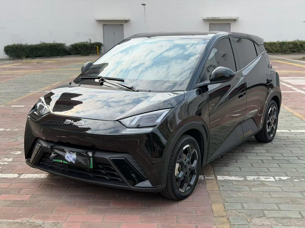 BYD Seagull