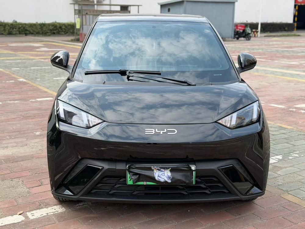 BYD Seagull