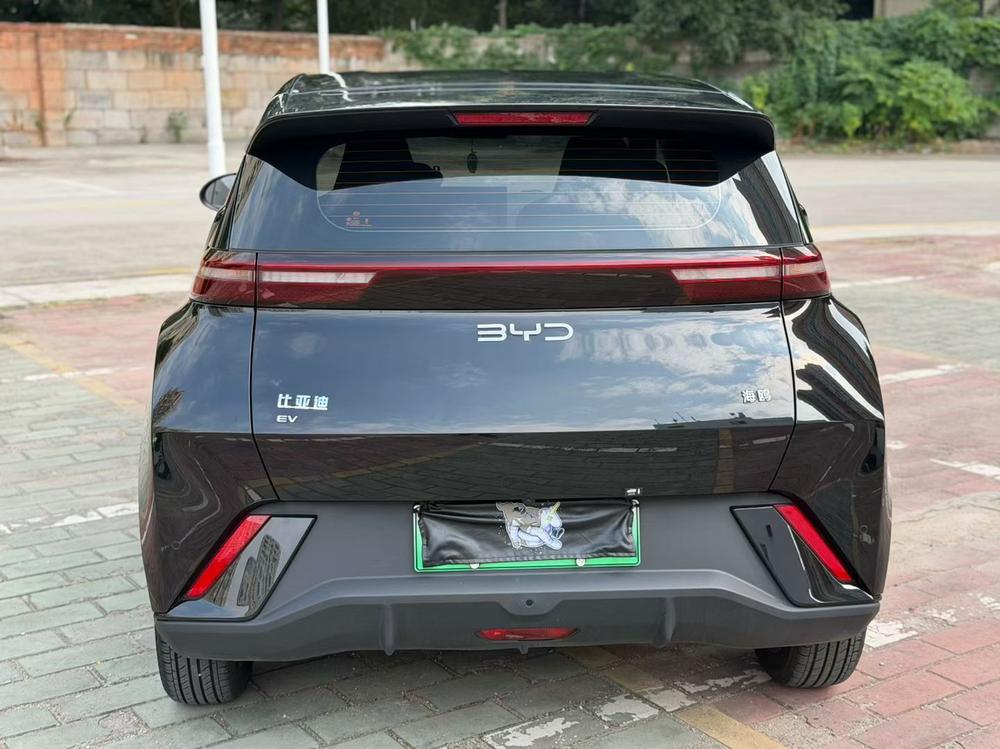 BYD Seagull