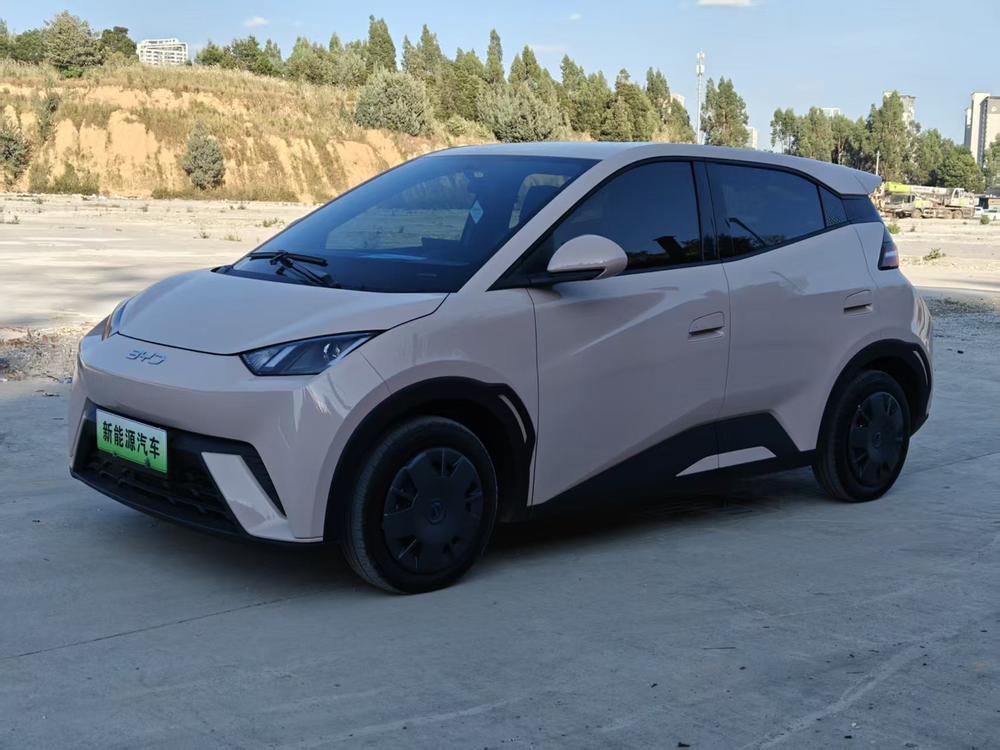 BYD Seagull