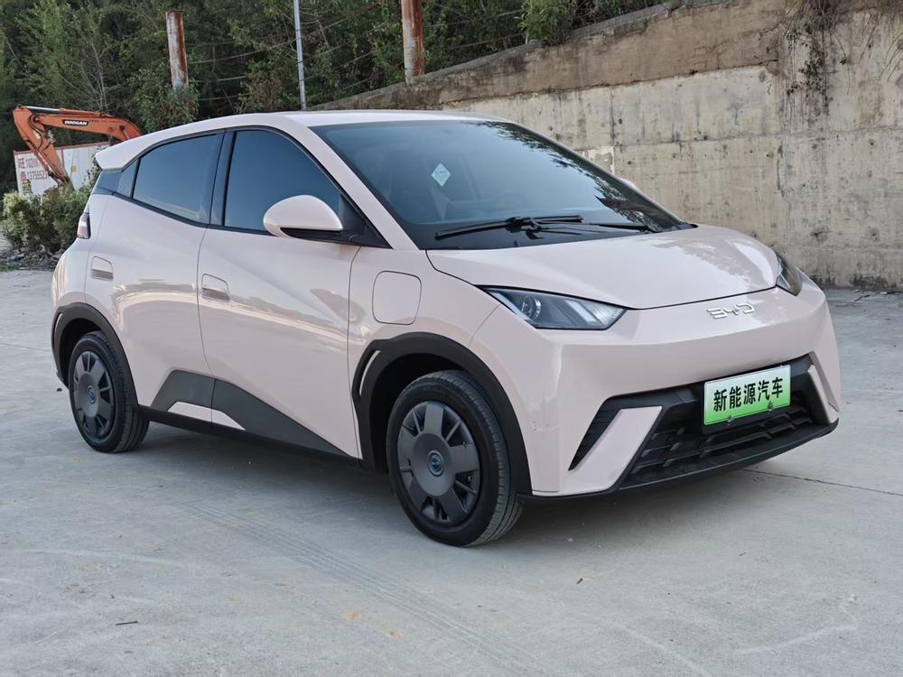 BYD Seagull