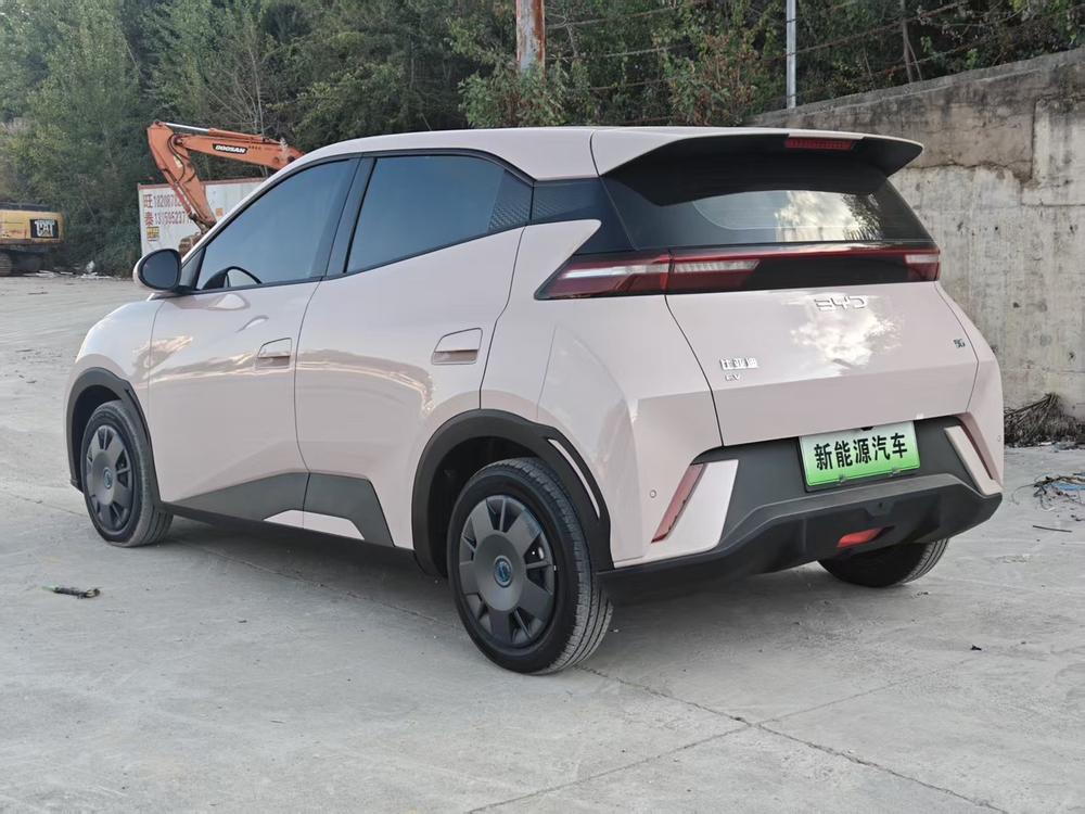 BYD Seagull