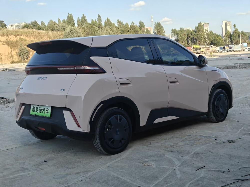 BYD Seagull