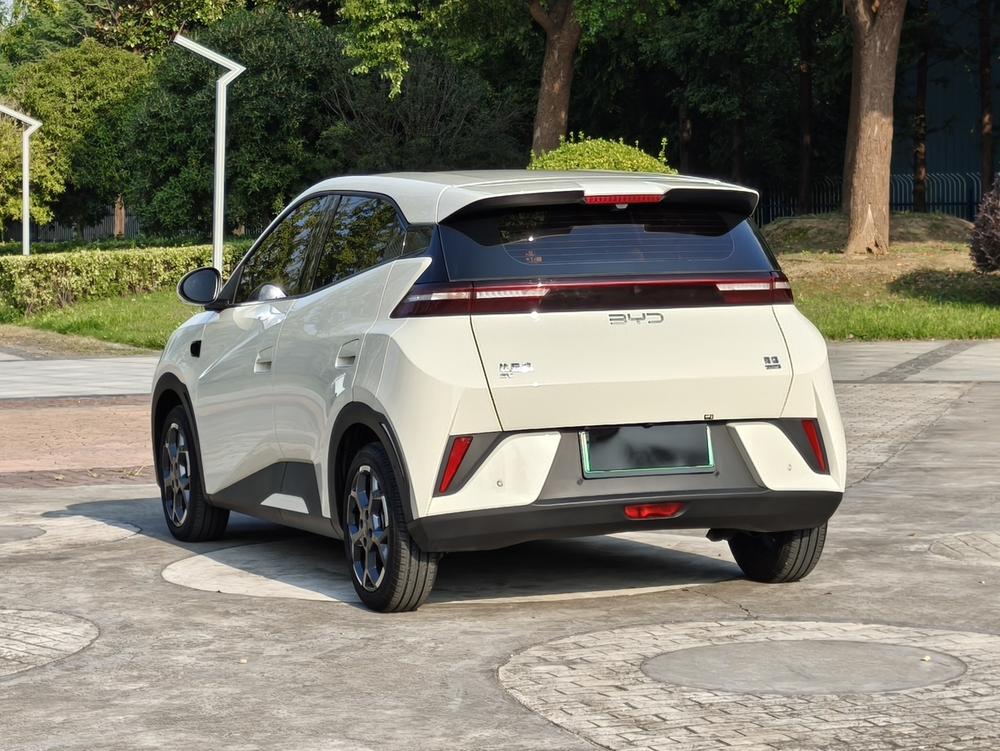 BYD Seagull