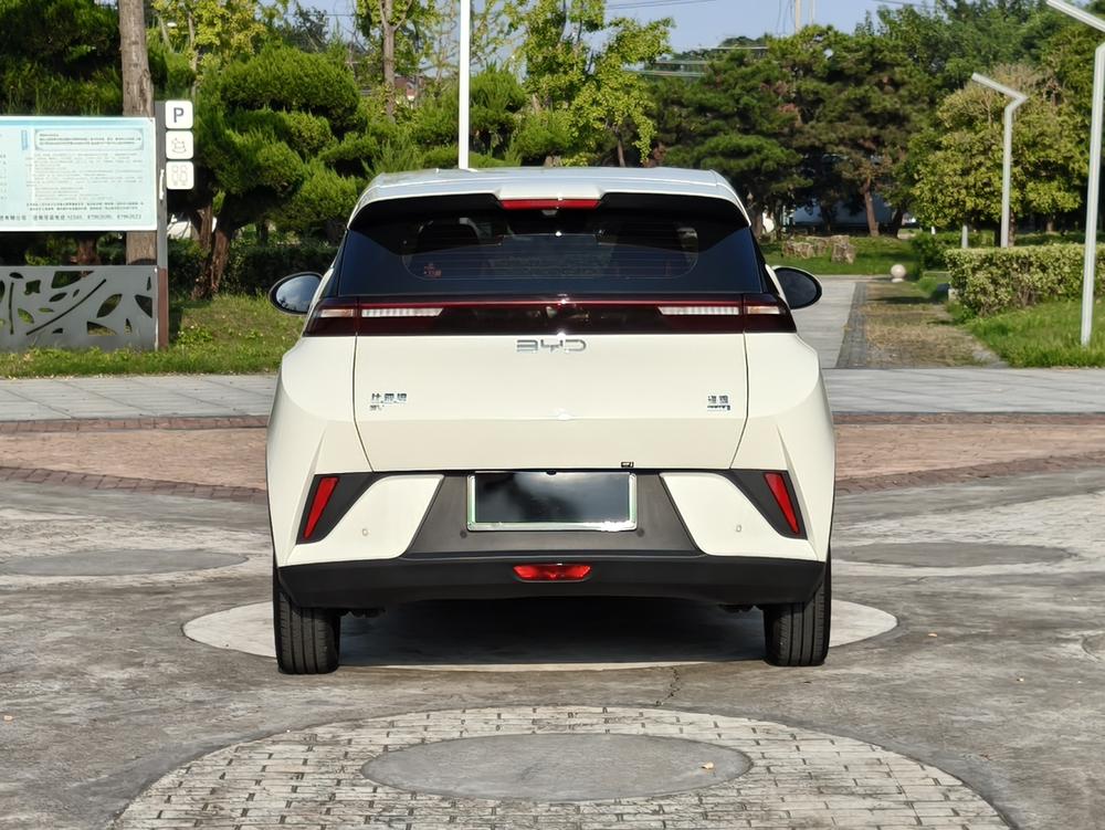 BYD Seagull