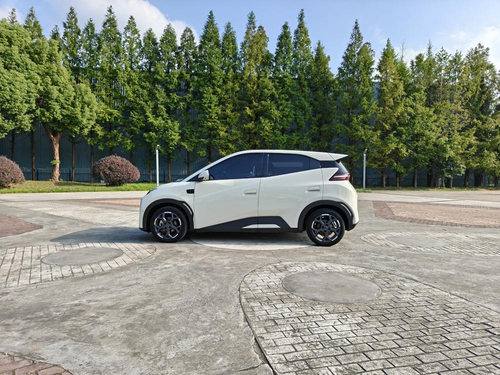 BYD Seagull