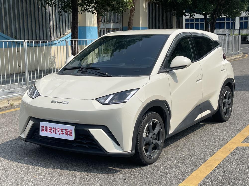 BYD Seagull
