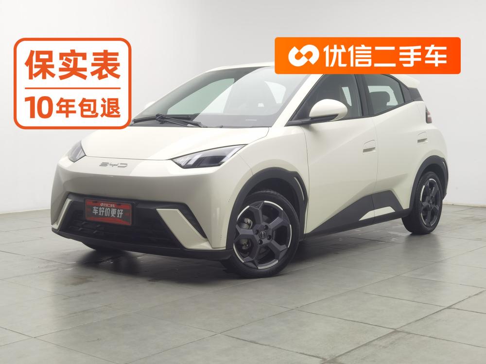 BYD Seagull