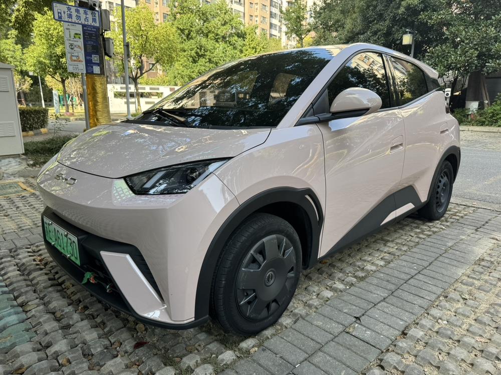 BYD Seagull