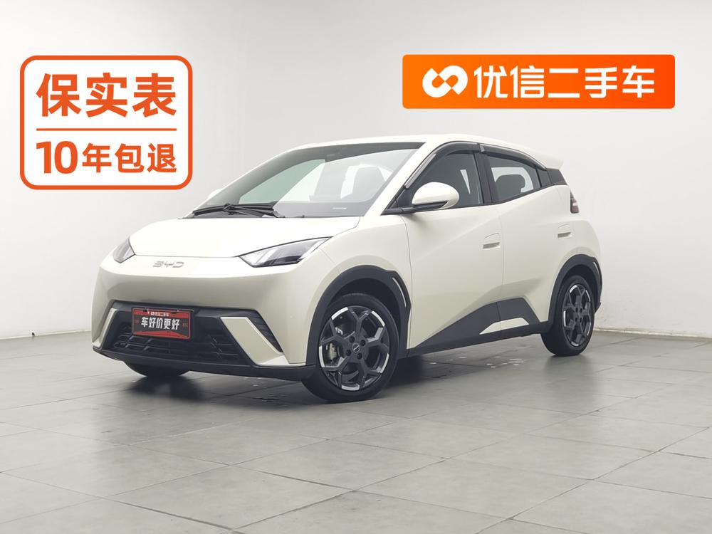 BYD Seagull