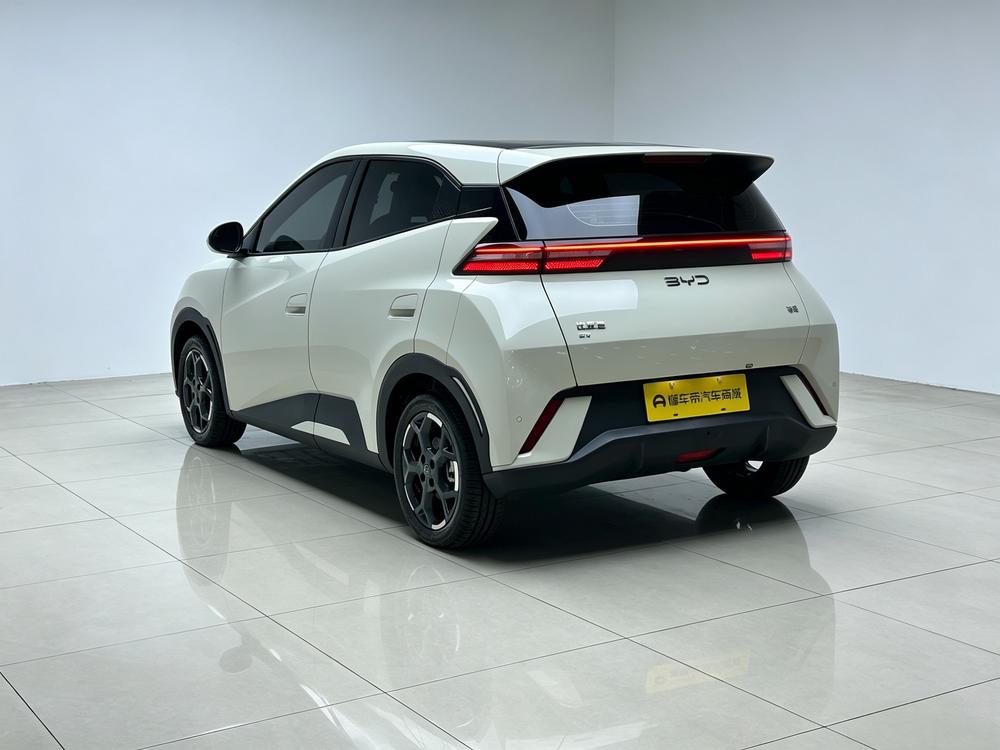 BYD Seagull