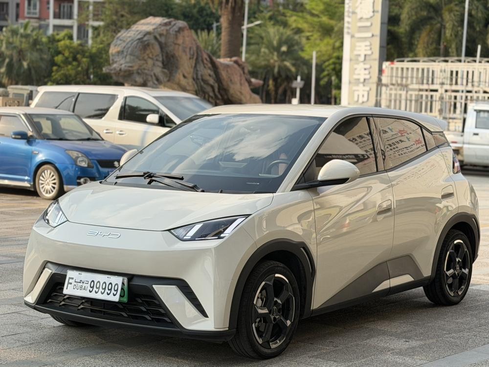 BYD Seagull