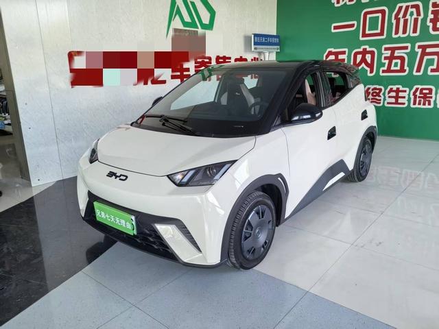 BYD Seagull