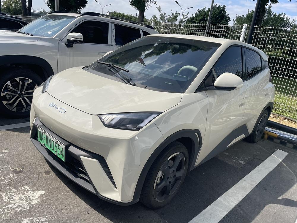 BYD Seagull
