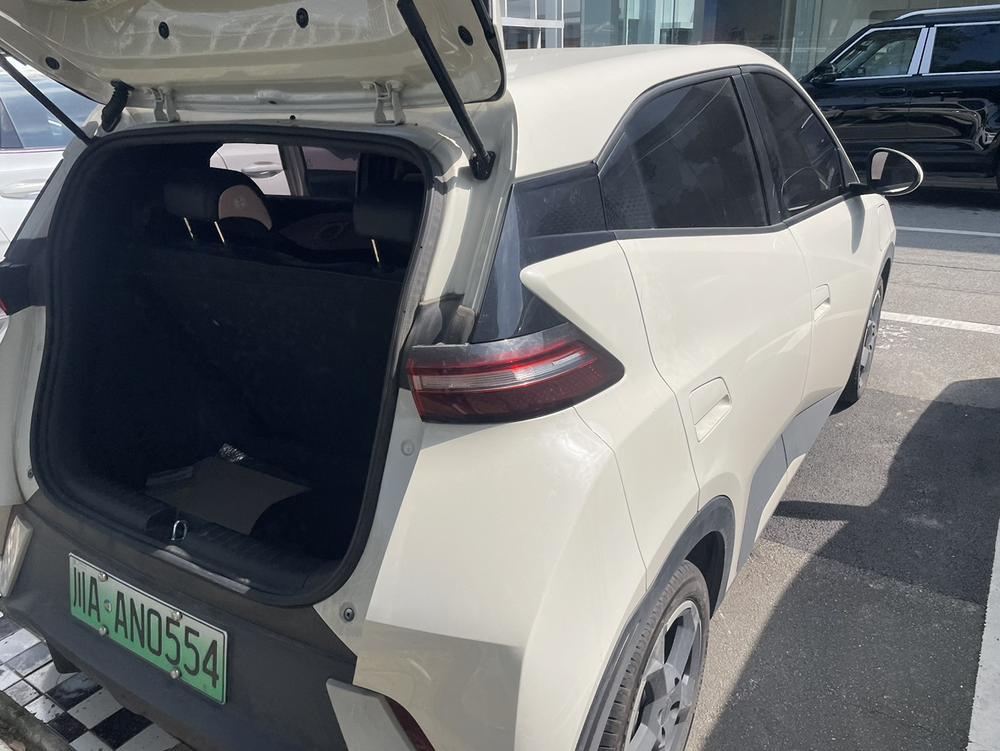 BYD Seagull