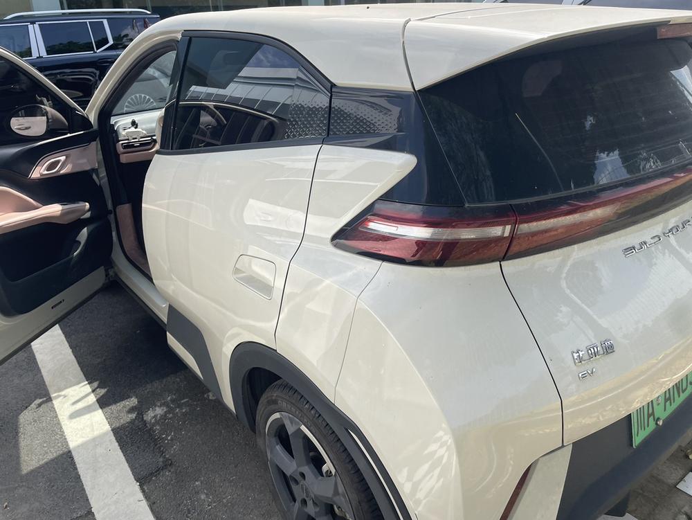 BYD Seagull
