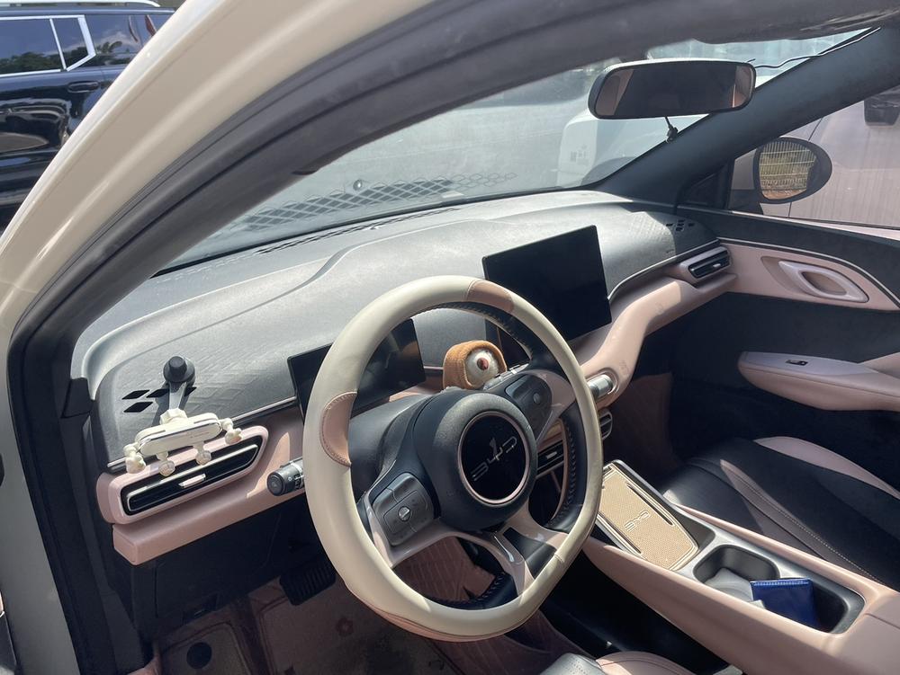 BYD Seagull