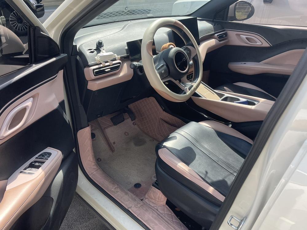 BYD Seagull