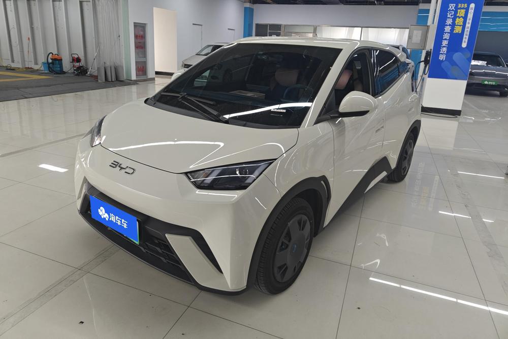 BYD Seagull