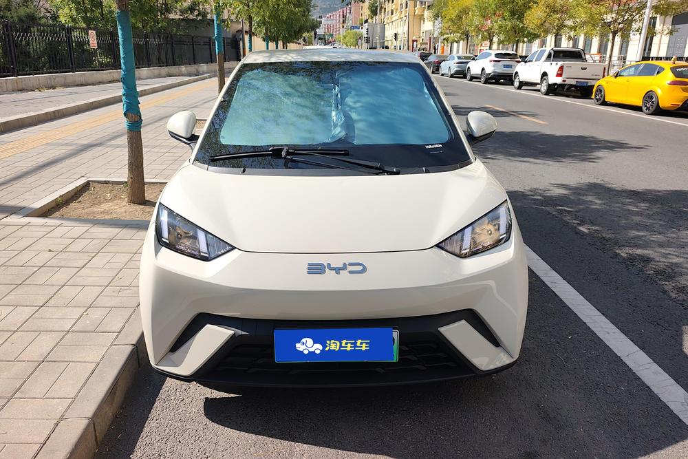 BYD Seagull