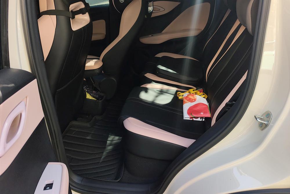 BYD Seagull