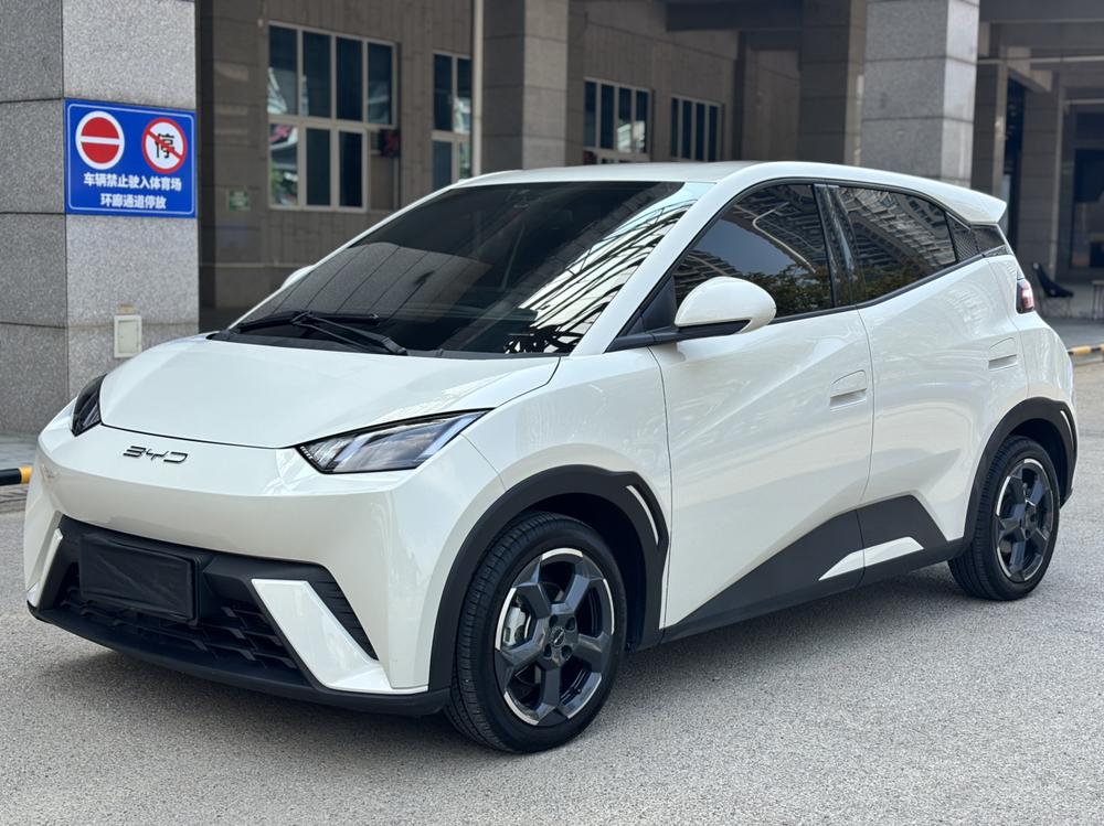 BYD Seagull