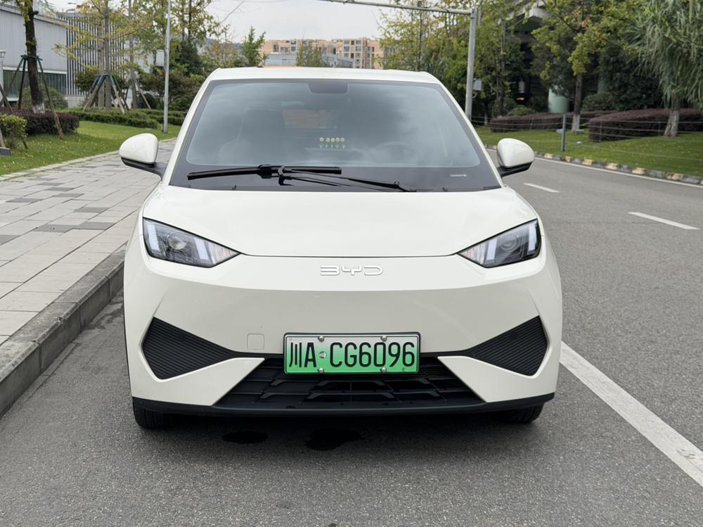 BYD Seagull