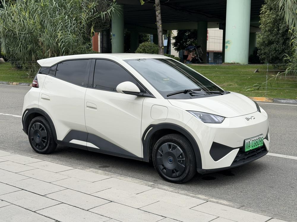 BYD Seagull