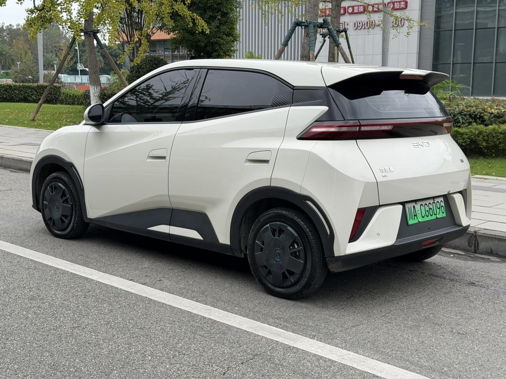 BYD Seagull