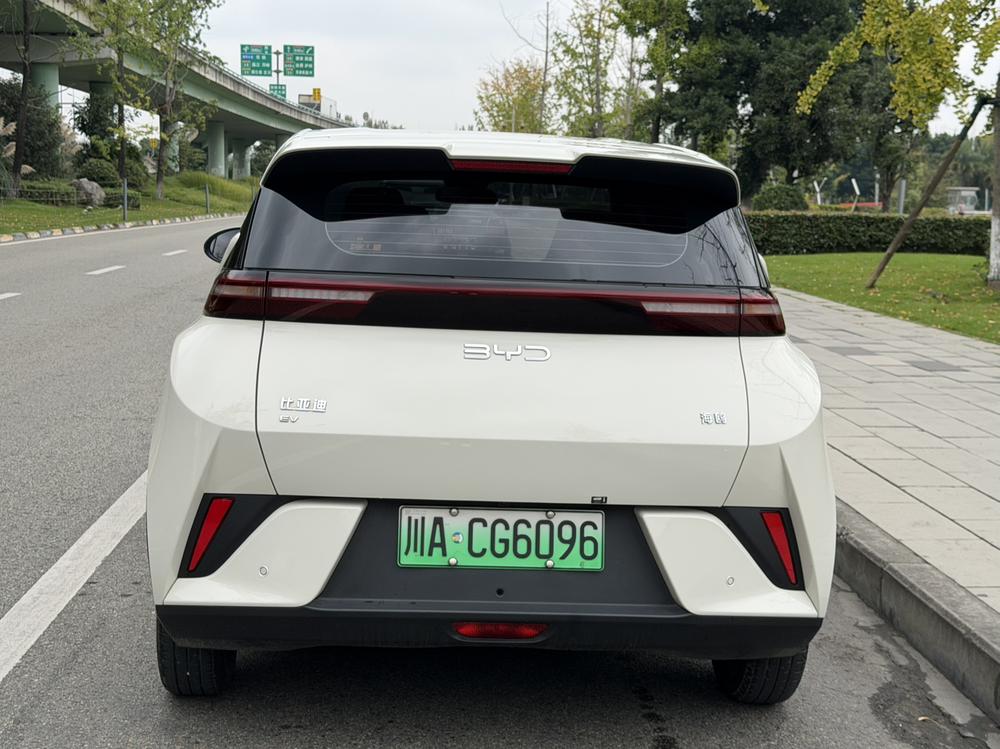 BYD Seagull