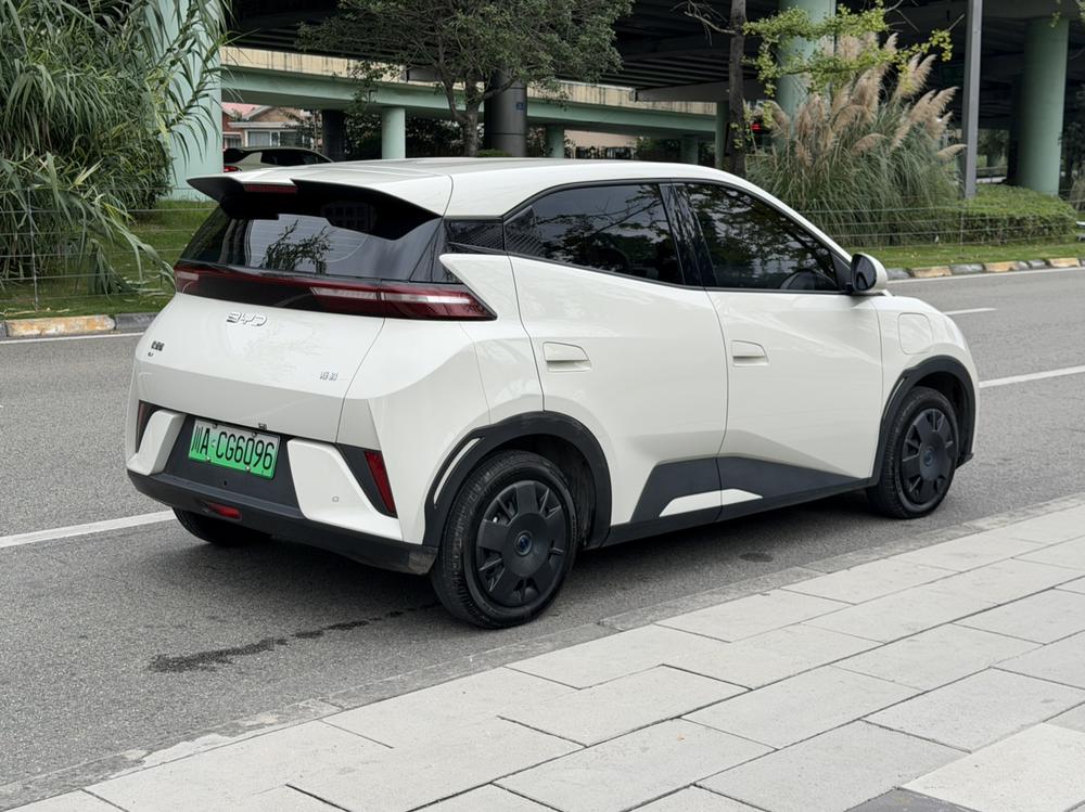 BYD Seagull