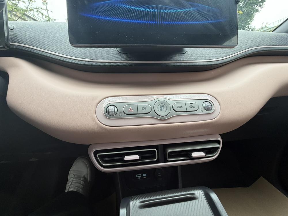 BYD Seagull