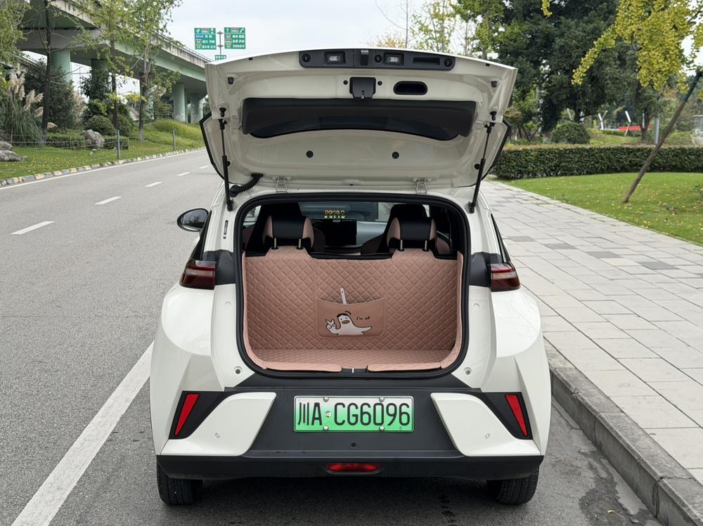 BYD Seagull