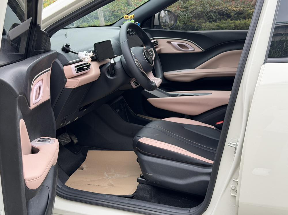 BYD Seagull