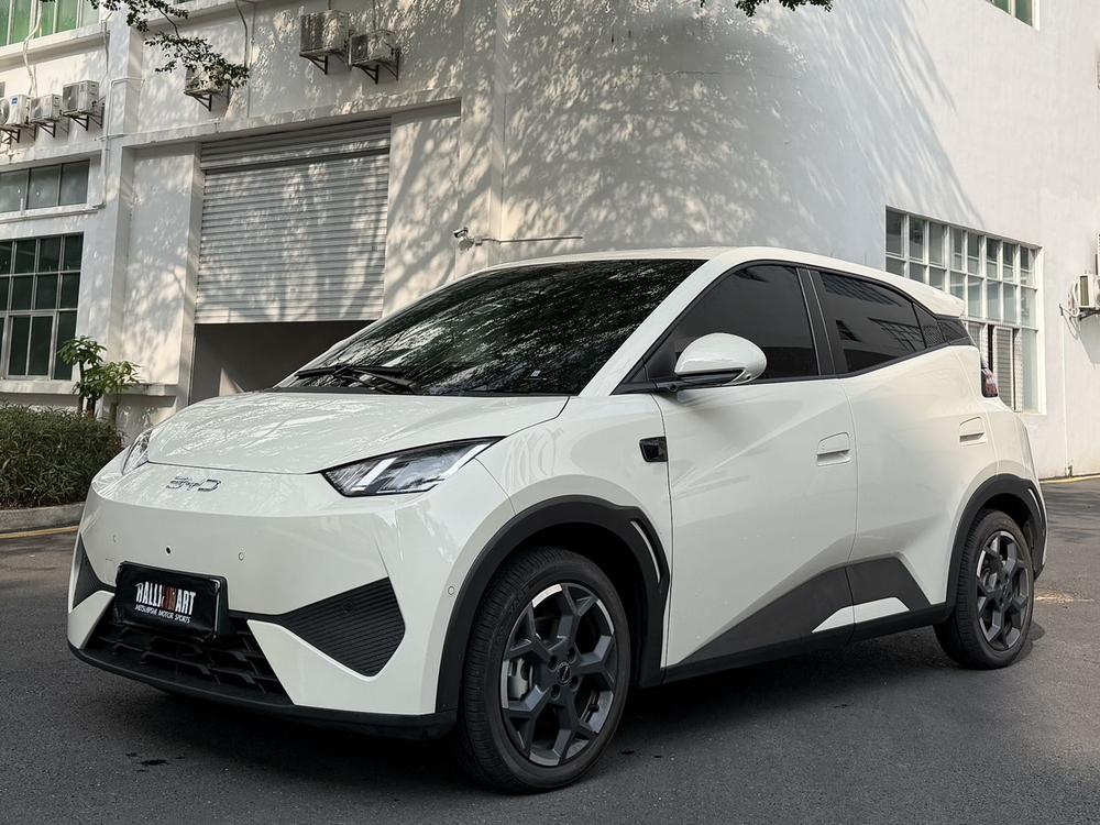 BYD Seagull