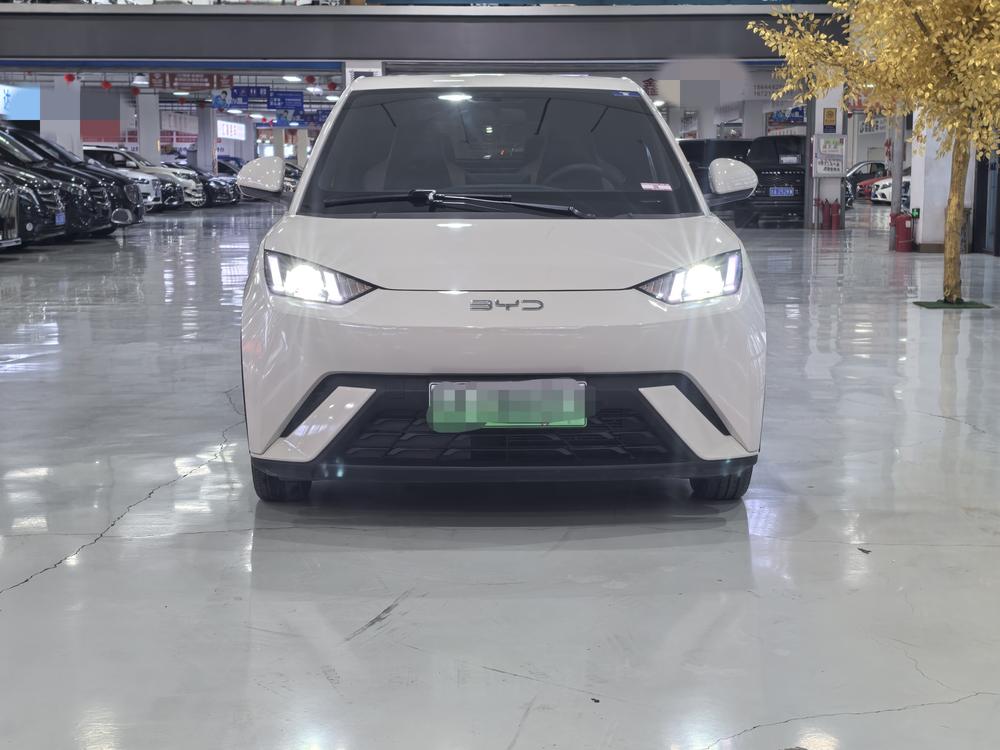 BYD Seagull