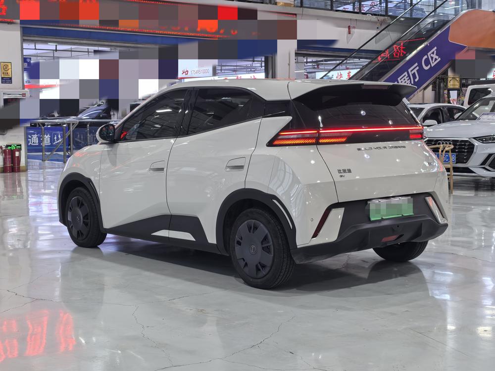 BYD Seagull