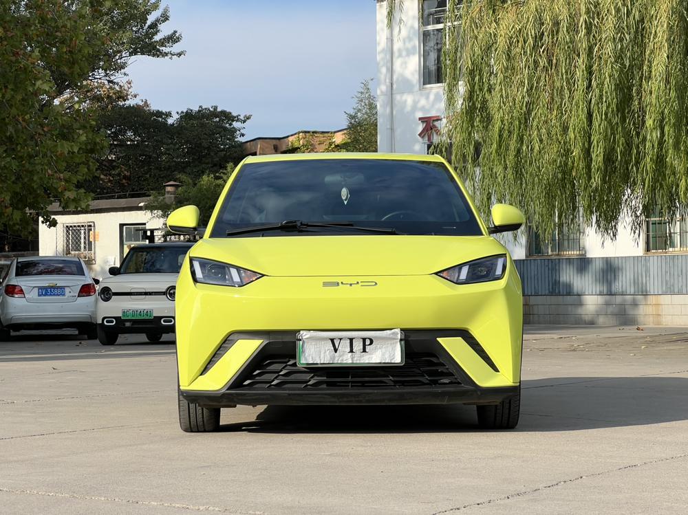 BYD Seagull