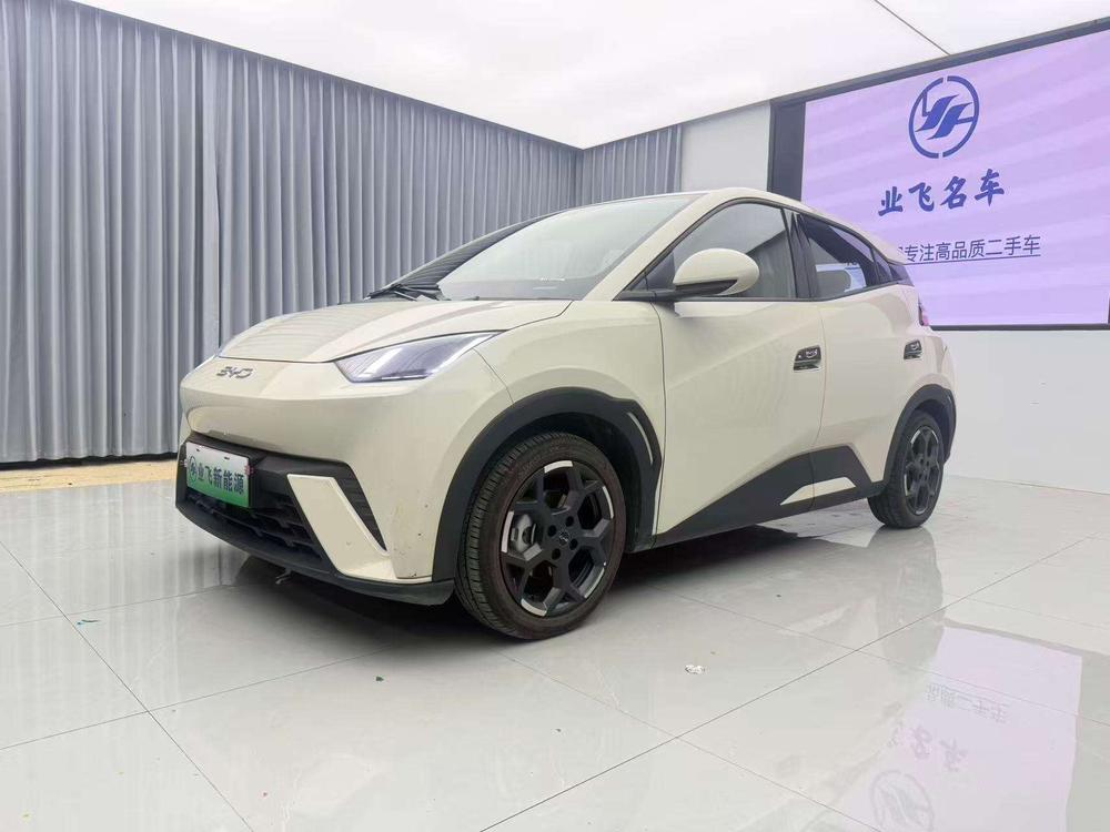 BYD Seagull